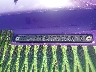 YAMA166***** Used 2018 Yamaha Fx Svho in Rec Rides Online Exclusive