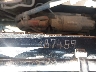 1NK1X4TX1LJ****** Usados 2020 Kenworth W990 en Specialty Division