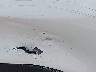 WDDSJ4GBXEN****** Salvage and Repairable 2014 Mercedes-Benz Cla 250 in Illinois State