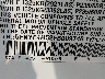 5FNYF4H52FB****** Used 2015 Honda Pilot in Pulaski