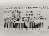 3TYLB5JNXRT****** Usados 2024 Toyota Tacoma en Columbus