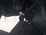 5N1AT2MV3KC****** Salvage 2019 Nissan Rogue in Pennsylvania State