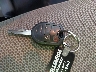 2FMDK4JC5EB****** Salvamento 2014 Ford Edge en Estado de Florida
