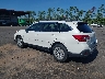 4S4BSAHC0K3****** Salvage and Repairable 2019 Subaru Outback in Jacksonville