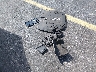 SJAAM2ZV0LC****** Destrozados 2020 Bentley Bentayga en Estado de Florida
