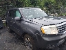 5FNYF3H30FB****** Salvamento y Reparables 2015 Honda Pilot en Estado de Carolina del Norte