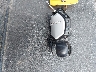 3JBVMAY44PE****** Salvage 2023 Can-Am Maverick X3 in Wisconsin State