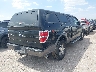 1FTPX14V99F****** Salvage and Wrecked 2009 Ford F-150 in Texas State