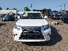 JTJBM7FX5K5****** Destrozados 2019 Lexus GX 460 en Estado de Pennsylvania