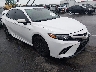 4T1M11AK4LU****** Salvamento y Destrozados 2020 Toyota Camry en Raleigh