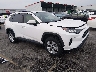 JTMW1RFV1LD****** Salvamento y Destrozados 2020 Toyota RAV4 en Lexington