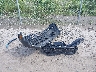 3FMCR9CN9SR****** Wrecked 2025 Ford Bronco Sport in Pennsylvania State