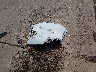 2T3W1RFV1PW****** Destrozados 2023 Toyota RAV4 en Estado de Texas