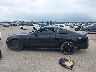 1ZVBP8AM1E5****** Reparables 2014 Ford Mustang en Estado de Texas