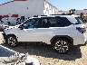 JF2SLSTDXSH****** Repairable 2025 Subaru Forester in Texas State