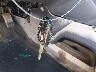 5J6RM4H70EL****** Salvage 2014 Honda CR-V in West Virginia State