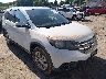 5J6RM4H70EL****** Salvage and Wrecked 2014 Honda CR-V in Buckhannon