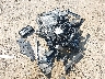 WA1LAAF76HD****** Wrecked 2017 Audi Q7 in Tennessee State