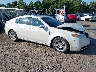 19UUA86519A****** Salvamento y Destrozados 2009 Acura TL en Northern Virginia