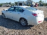 19UUA86519A****** Salvamento y Reparables 2009 Acura TL en Northern Virginia
