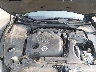 1N4AA5AP0AC****** Repairable 2010 Nissan Maxima in Indianapolis