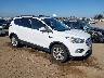 1FMCU9HD2JU****** Salvage and Wrecked 2018 Ford Escape in San Diego