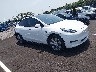 7SAYGDEE4NF****** Usados 2022 Tesla Model Y en Estado de Tennessee
