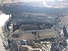 5XYPKDA54KG****** Repairable 2019 Kia Sorento in Newburgh