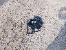 4S4BTANCXN3****** Wrecked 2022 Subaru Outback in Wisconsin State