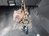 1FAHP36N69W****** Salvamento 2009 Ford Focus en Estado de Rhode Island