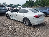 19UUB6F37MA****** Salvamento y Reparables 2021 Acura TLX en Baltimore