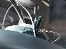 1GCDS136068****** Salvamento 2006 Chevrolet Colorado en Estado de Texas
