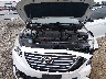 5NPE24AF8GH****** Repairable 2016 Hyundai Sonata in Lexington