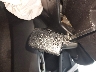 2T3WFREV3JW****** Salvage 2018 Toyota RAV4 in Texas State