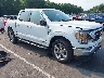 1FTFW1EDXPF****** Salvamento y Destrozados 2023 Ford F-150 en Raleigh