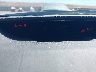 JTDKB20U453****** Salvage 2005 Toyota Prius in Sacramento