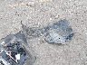 2C4RDGBG6FR****** Destrozados 2015 Dodge Grand Caravan en Estado de Michigan