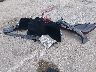 4T1G11AK3LU****** Wrecked 2020 Toyota Camry in Louisiana State