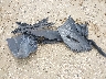 4T1G11AK3MU****** Destrozados 2021 Toyota Camry en Estado de Florida