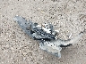 4T1BF1FK8DU****** Wrecked 2013 Toyota Camry in New Mexico State
