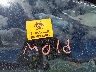 WA1LXAF79LD****** Wrecked 2020 Audi Q7