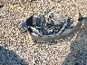 3N1AB7AP0KY****** Wrecked 2019 Nissan Sentra in Mississippi State
