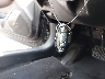 JN1CV6AP0CM****** Salvage 2012 Infiniti G37 in Tennessee State