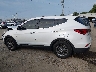 5XYZT3LB3HG****** Repairable 2017 Hyundai Santa Fe in Indiana State