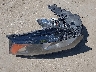 WAUAFAFHXAN****** Wrecked 2010 Audi A5 in California State