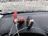 ZFBCFYCB5HP****** Salvage 2017 Fiat 500X in Iowa State