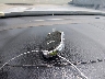 3KPF24AD4ME****** Salvage 2021 Kia Forte in Virginia State