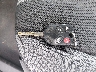 1FAHP3F27CL****** Salvage 2012 Ford Focus in Louisiana State