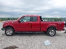 1FTEX1EP0FK****** Salvamento 2015 Ford F-150