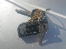 5GRGN23U05H****** Salvage 2005 Hummer H2 in New York State